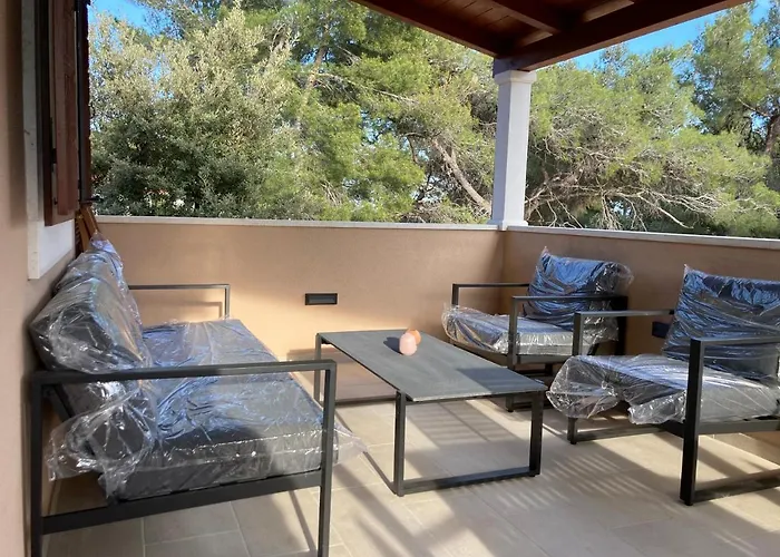Tara House Vila